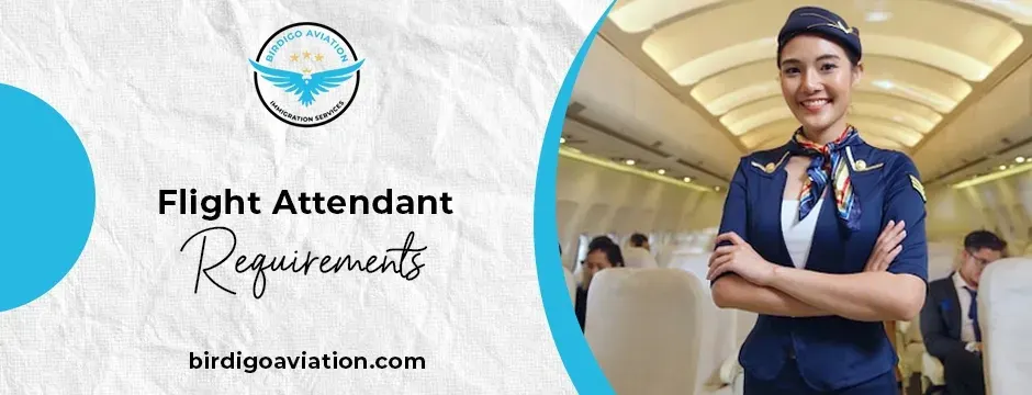 flight attendant requirements