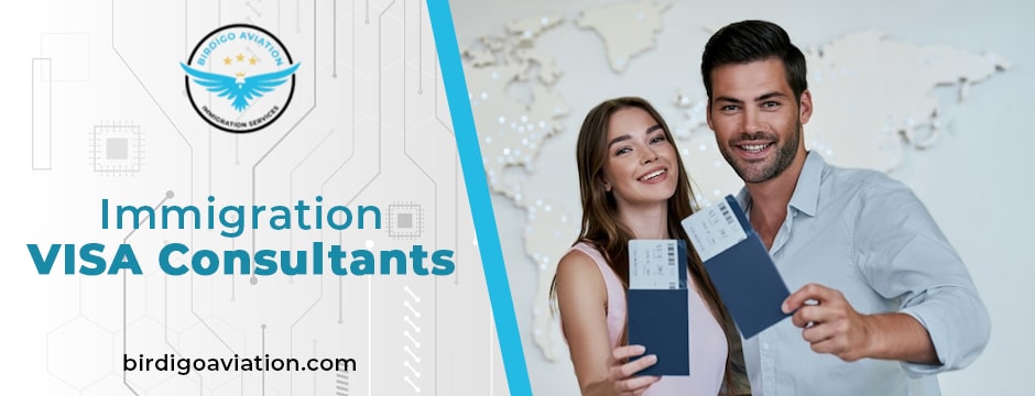 immigration visa consultants
