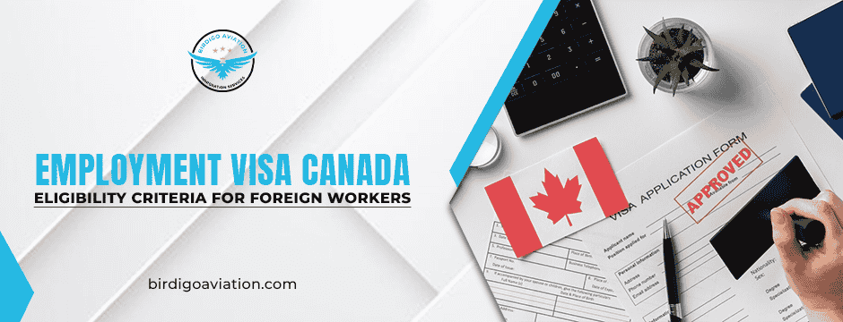 Employment Visa
