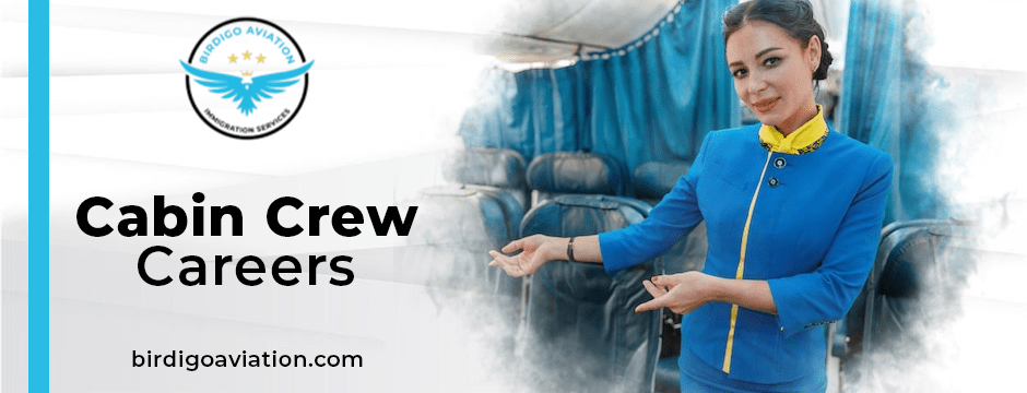 cabin crew careers